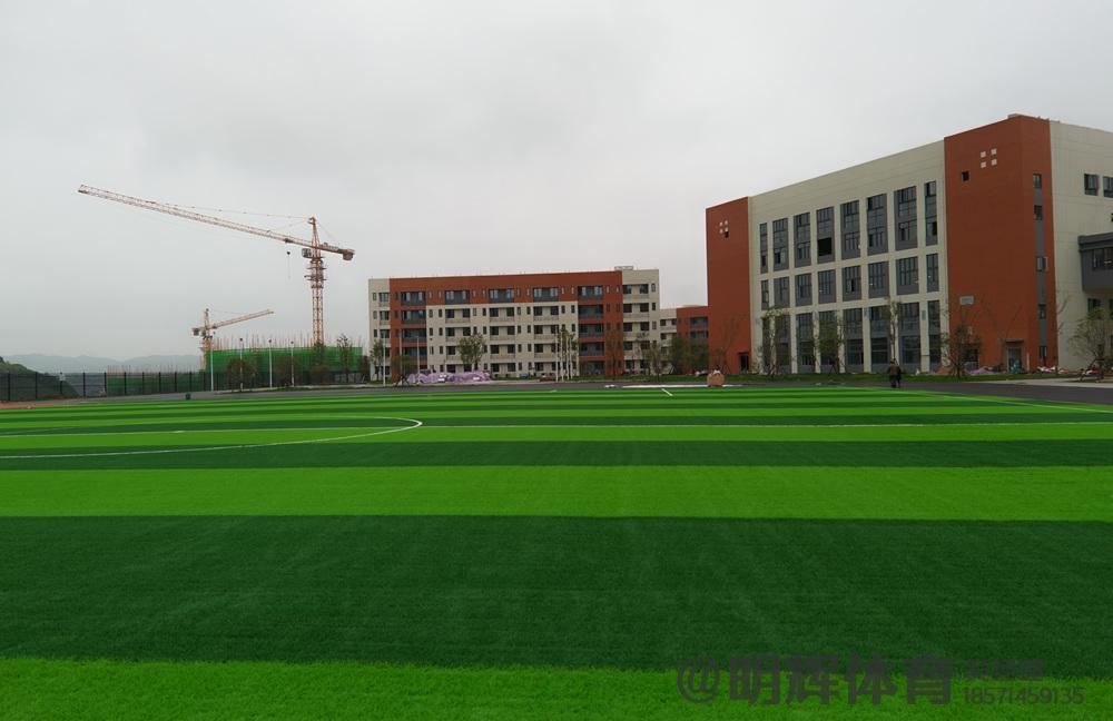 广元人造草坪足球场